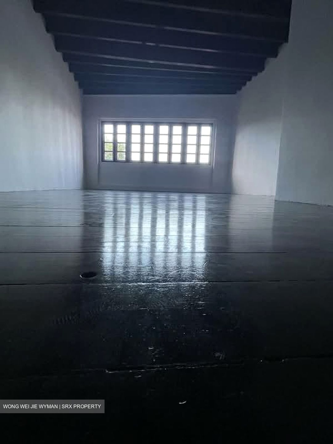 Boat Quay Conservation Area (D1), Shop House #536044331